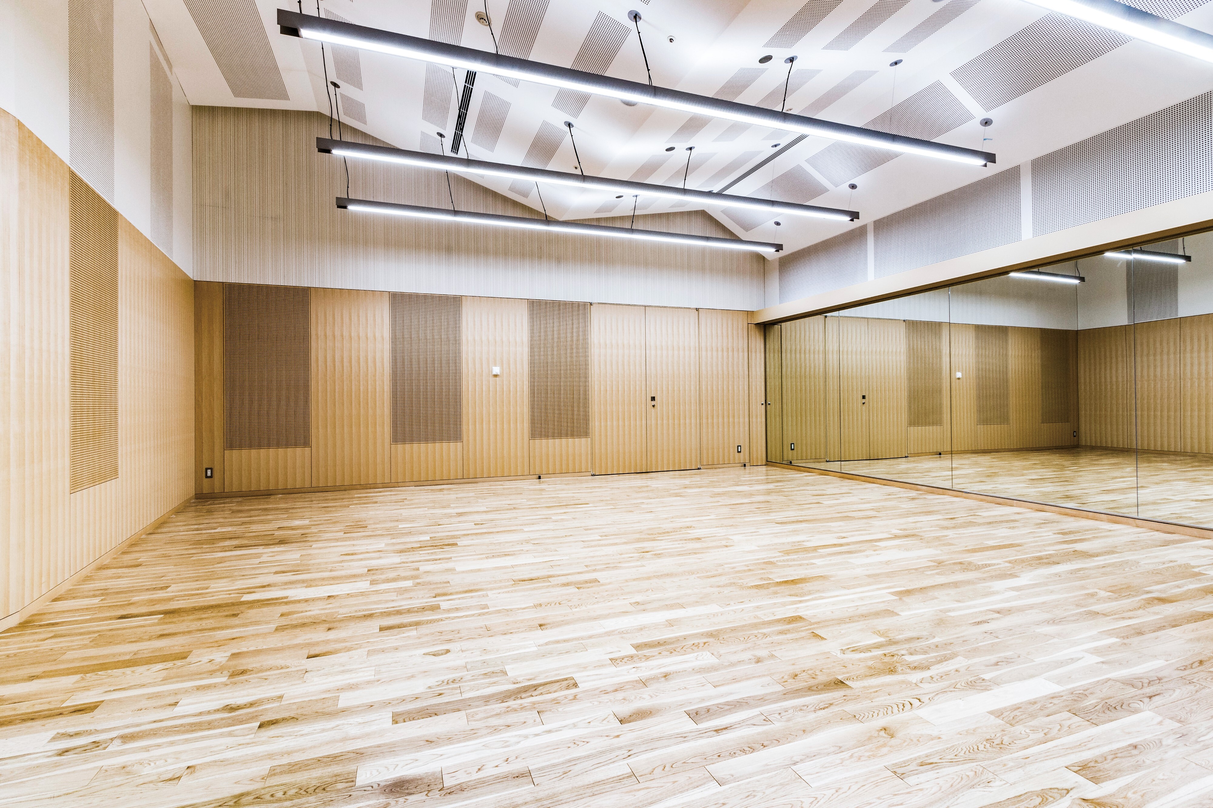 Shirakawa Performing Arts Theatre Hall cominess