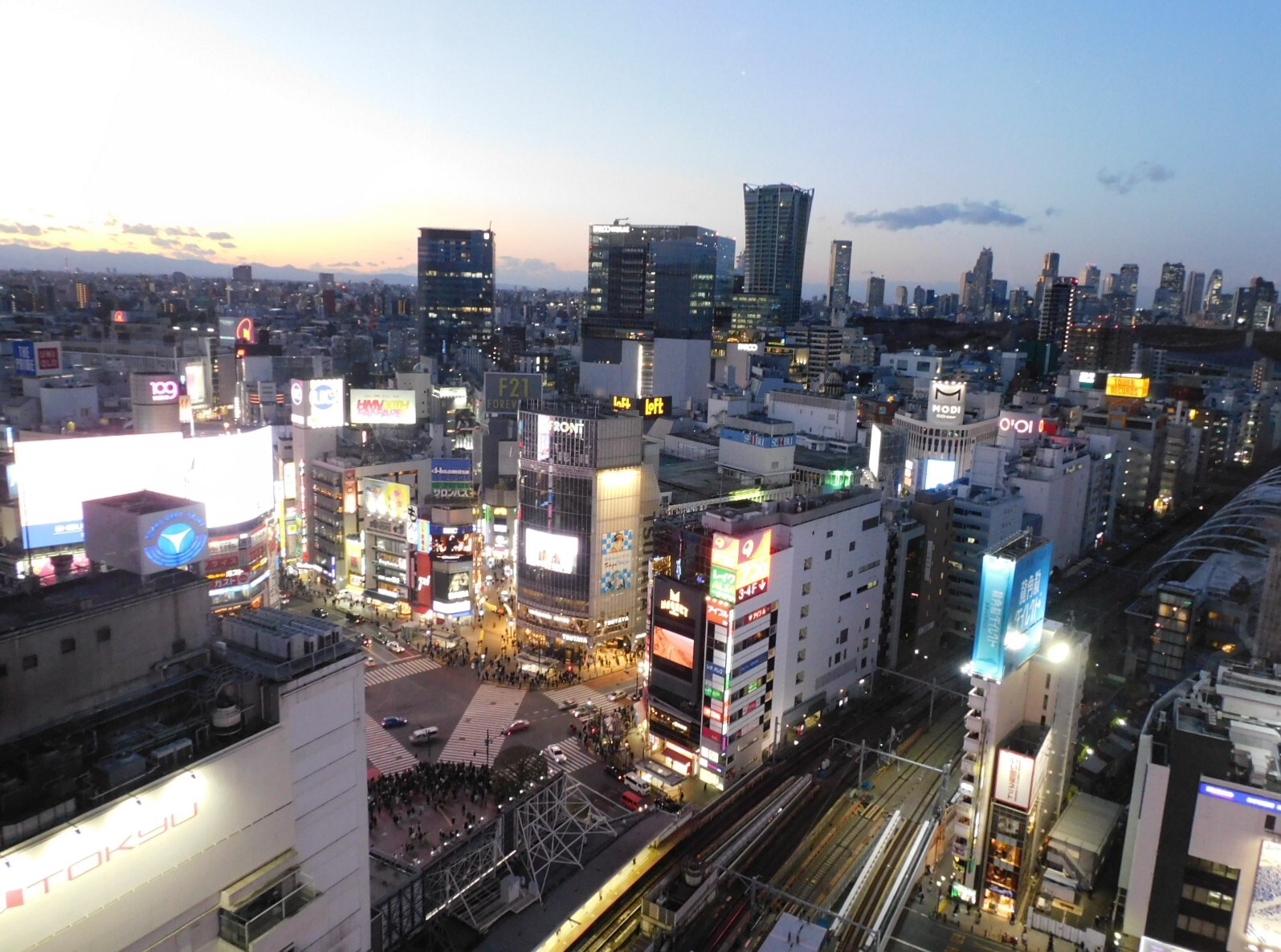 SHIBUYA QWS SCRAMBLE HALL